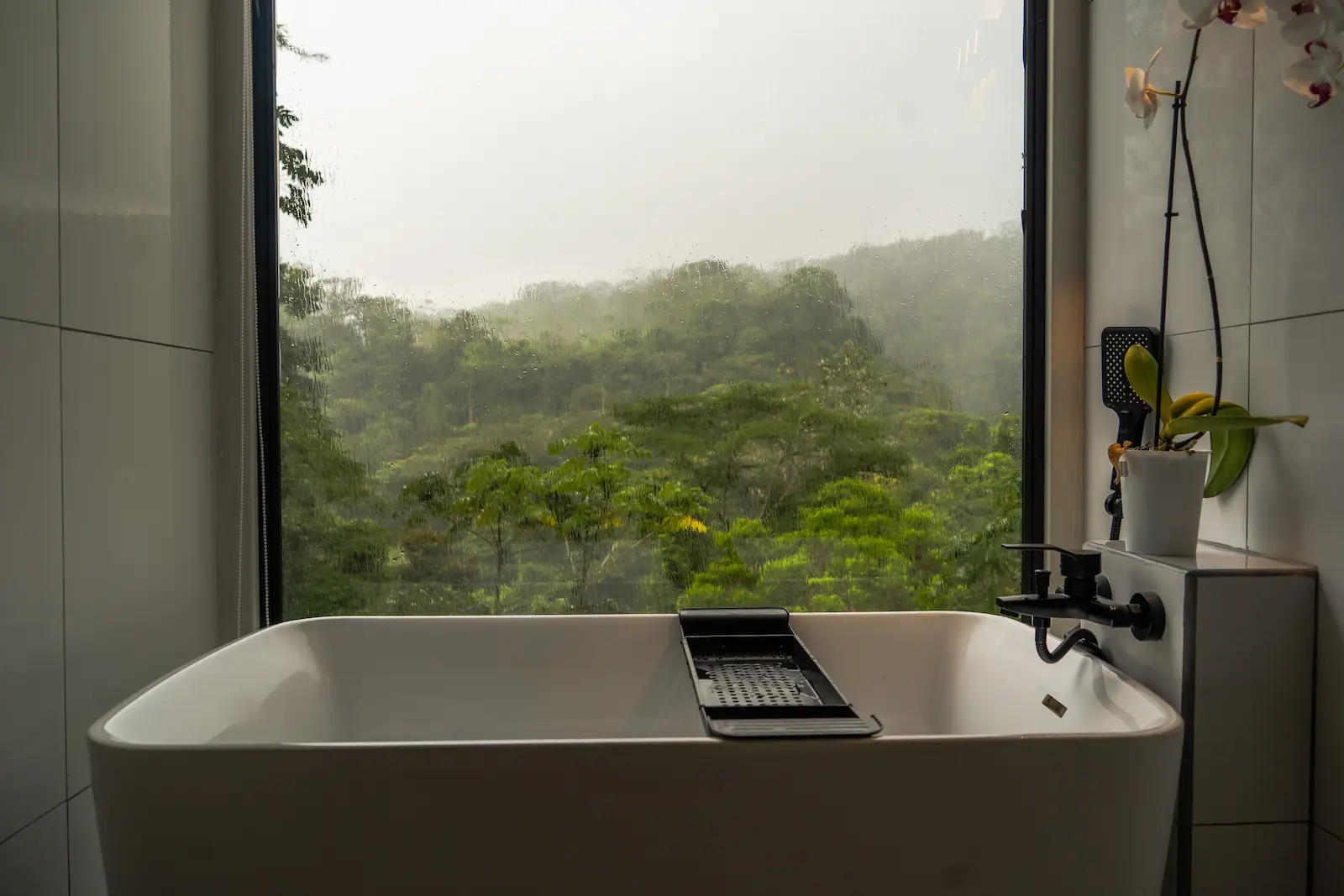 Interior of the NARA private villa with floor-to-ceiling windows facing the rainforest