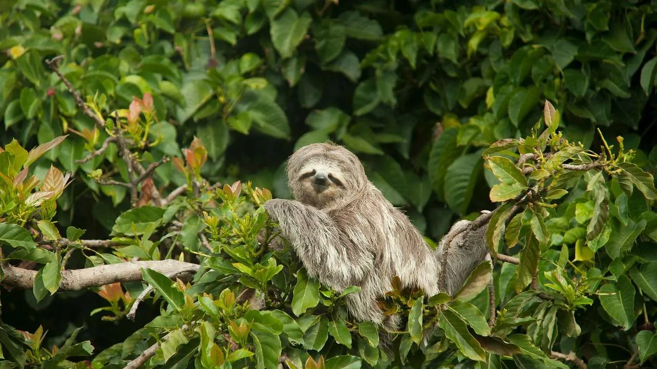 Private vs group tours in Costa Rica